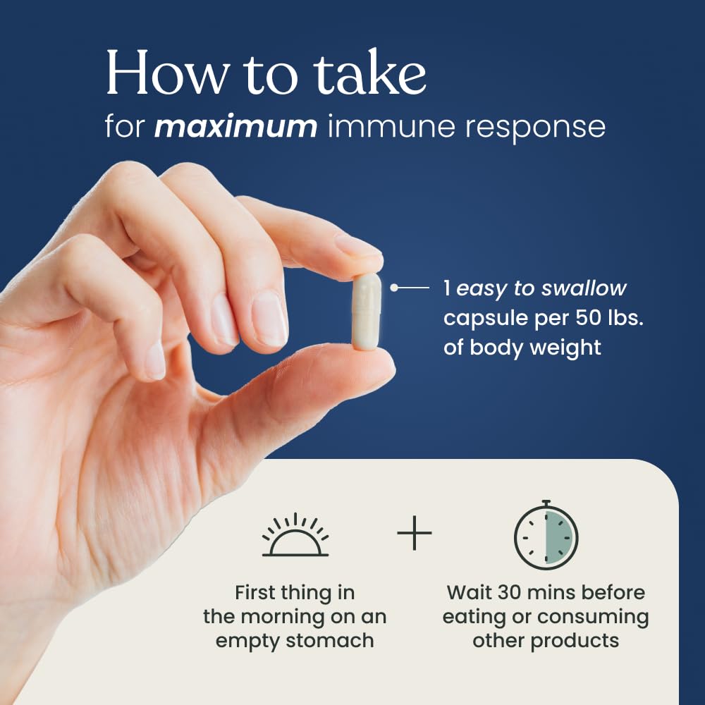 Better Way Health™ - Advanced Immune Readiness - Highly Purified 1,3/1,6 Beta Glucan 500 - Clinically Tested Immune Defense - 500mg/60 Capsules (Pack of 1) - dailyvitalstore