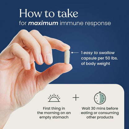 Better Way Health™ - Advanced Immune Readiness - Highly Purified 1,3/1,6 Beta Glucan 500 - Clinically Tested Immune Defense - 500mg/60 Capsules (Pack of 1) - dailyvitalstore