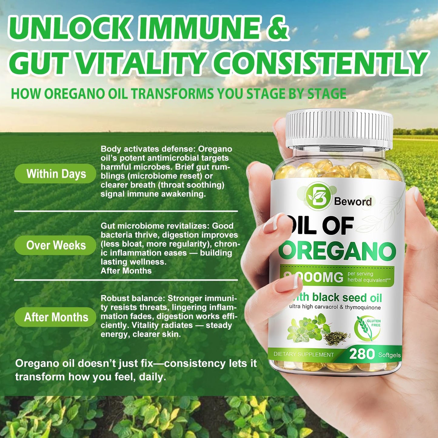 BEWORD Oil of Oregano with Black Seed Oil, 280 Softgels, 9000mg Per Serving – 2-in-1 Oregano Supplement for Immune Health with High Carvacrol & Thymoquinone | Plant-Based, Non-GMO - dailyvitalstore