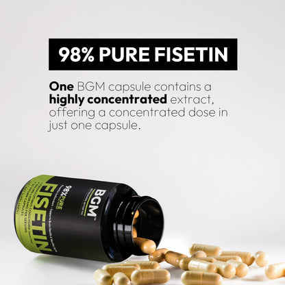 BGM Fisetin 500mg Supplement | Smoke Tree Extract (Cotinus coggygria) | 98% Pure Senolytic Antioxidant | Vegan Capsules | Supports Brain Health & Healthy Aging - dailyvitalstore