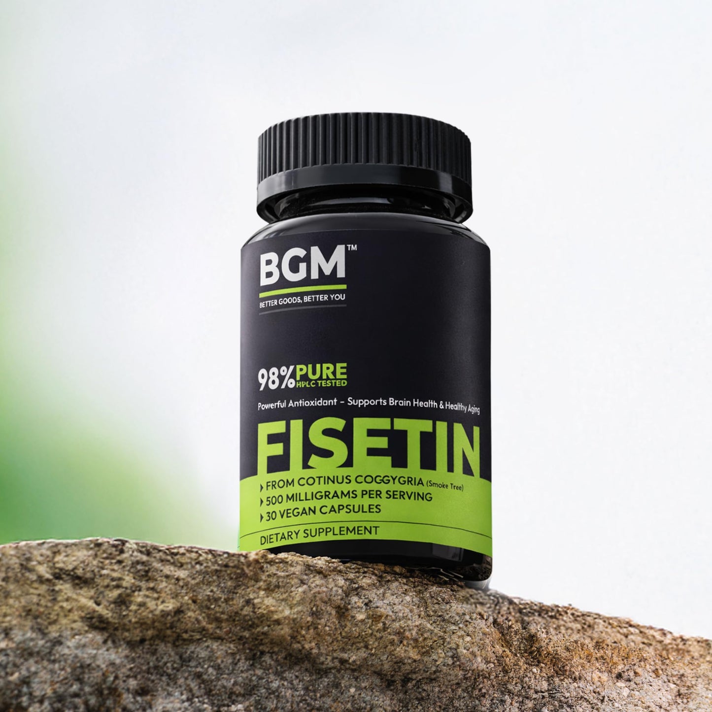 BGM Fisetin 500mg Supplement | Smoke Tree Extract (Cotinus coggygria) | 98% Pure Senolytic Antioxidant | Vegan Capsules | Supports Brain Health & Healthy Aging - dailyvitalstore