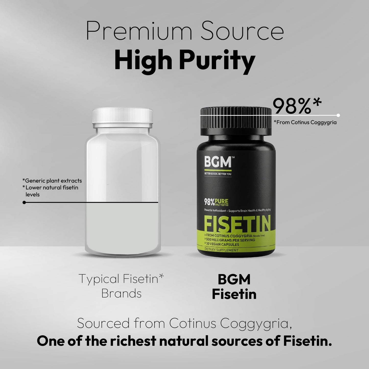 BGM Fisetin 500mg Supplement | Smoke Tree Extract (Cotinus coggygria) | 98% Pure Senolytic Antioxidant | Vegan Capsules | Supports Brain Health & Healthy Aging - dailyvitalstore