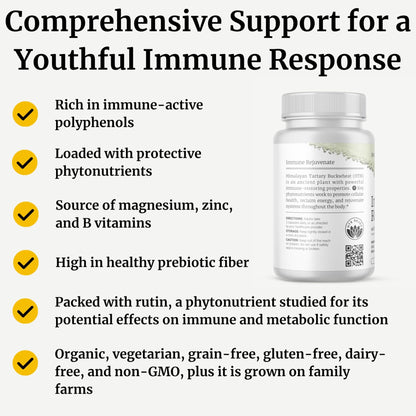 BIG BOLD HEALTH HTB Immune Rejuvenate - Polyphenols Supplement for Immune Support with Himalayan Tartary Buckwheat - Gluten Free, Dairy Free, Non-GMO Formula - 60 Vegetarian Capsules - dailyvitalstore