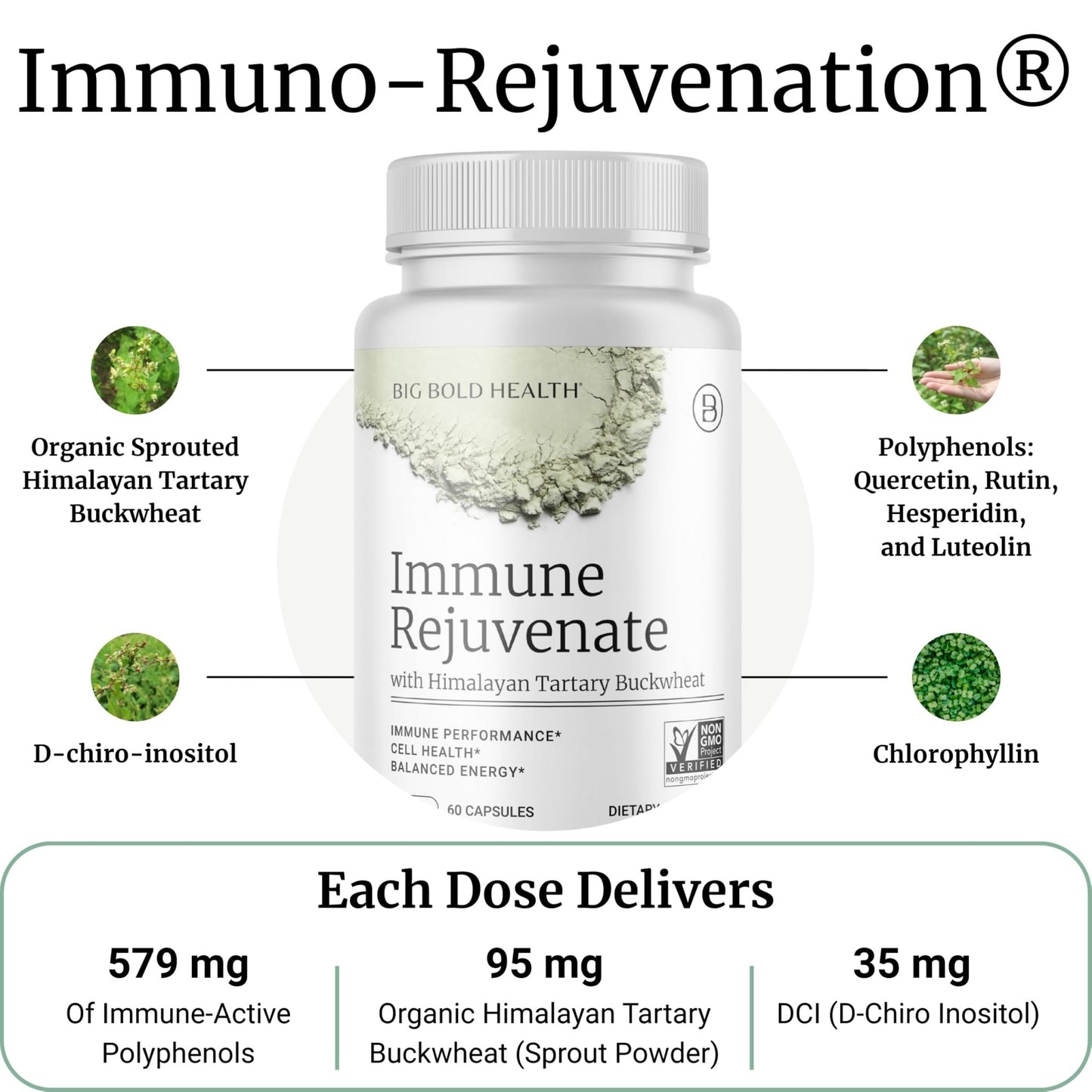 BIG BOLD HEALTH HTB Immune Rejuvenate - Polyphenols Supplement for Immune Support with Himalayan Tartary Buckwheat - Gluten Free, Dairy Free, Non-GMO Formula - 60 Vegetarian Capsules - dailyvitalstore