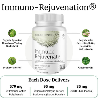 BIG BOLD HEALTH HTB Immune Rejuvenate - Polyphenols Supplement for Immune Support with Himalayan Tartary Buckwheat - Gluten Free, Dairy Free, Non-GMO Formula - 60 Vegetarian Capsules - dailyvitalstore