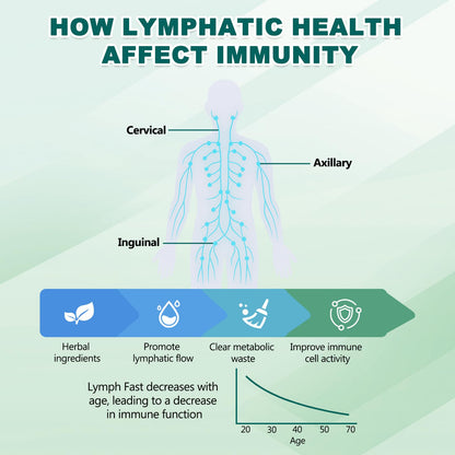BINMLXG Liposomal Lymphatic Drainage Drops, 8-Herb Formula with Echinacea, Elderberry, Burdock Root Blend, for Lymphatic Drainage, Immune Support, Cleanse & Detox, 2 Fl Oz - dailyvitalstore