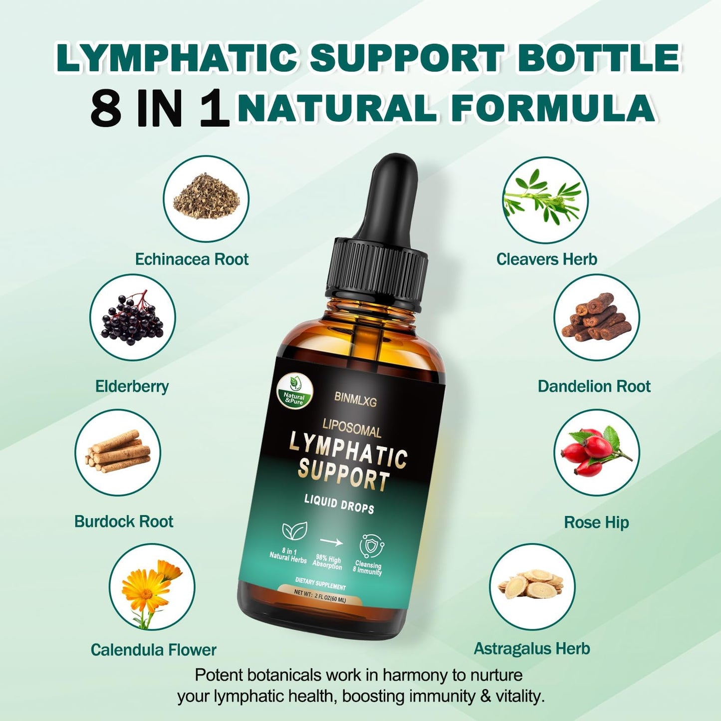 BINMLXG Liposomal Lymphatic Drainage Drops, 8-Herb Formula with Echinacea, Elderberry, Burdock Root Blend, for Lymphatic Drainage, Immune Support, Cleanse & Detox, 2 Fl Oz - dailyvitalstore