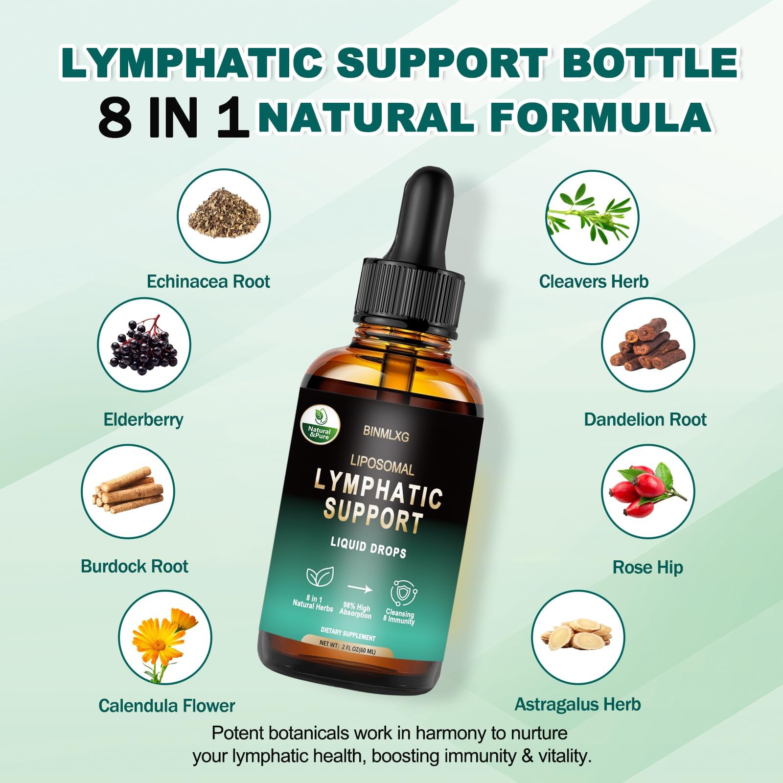BINMLXG Liposomal Lymphatic Drainage Drops, 8-Herb Formula with Echinacea, Elderberry, Burdock Root Blend, for Lymphatic Drainage, Immune Support, Cleanse & Detox, 2 Fl Oz - dailyvitalstore