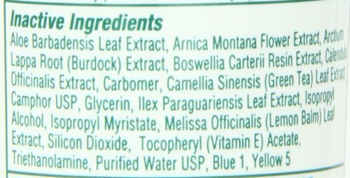 Bio Freeze Pain Relieving Gel, 4 Ounce, 12-Count - dailyvitalstore