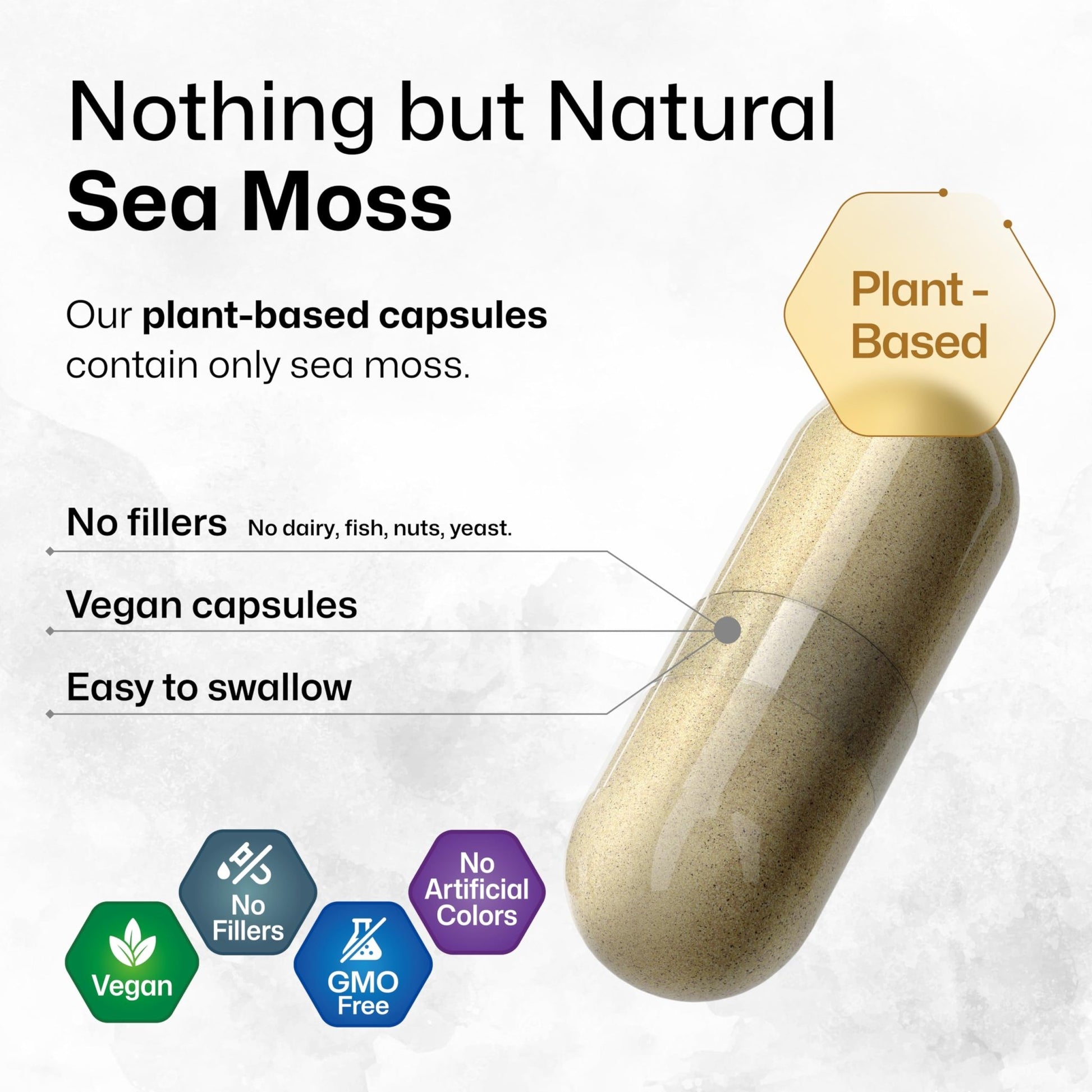 BIO KRAUTER® 2-in-1 Sea Moss for Thyroid Support - Vegan Bladderwrack & Sea Moss Capsules for Women & Men - Natural Сhondrus Сrispus Seaweed Supplement 1600 mg - 125 Days of Supply, Non-GMO - dailyvitalstore