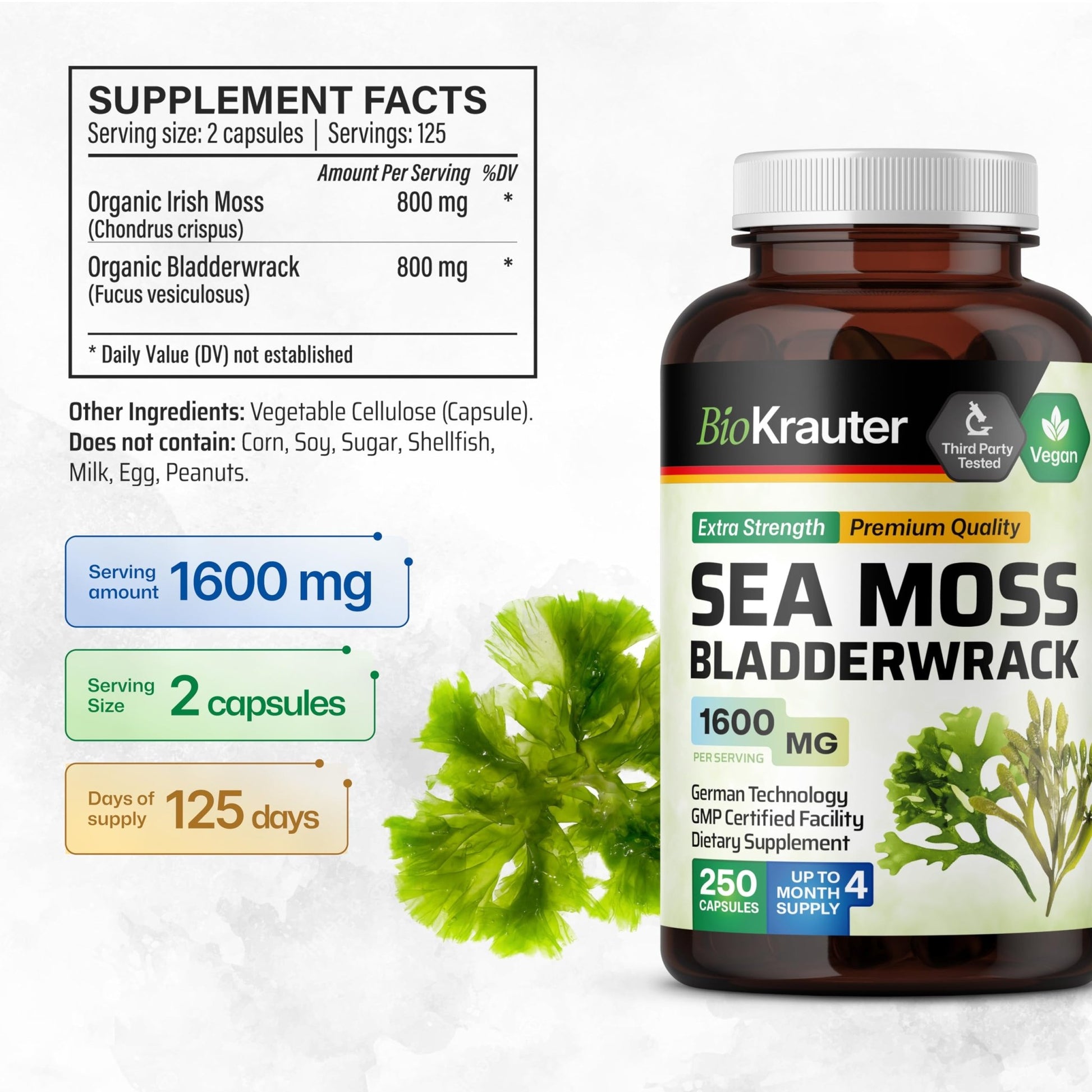 BIO KRAUTER® 2-in-1 Sea Moss for Thyroid Support - Vegan Bladderwrack & Sea Moss Capsules for Women & Men - Natural Сhondrus Сrispus Seaweed Supplement 1600 mg - 125 Days of Supply, Non-GMO - dailyvitalstore