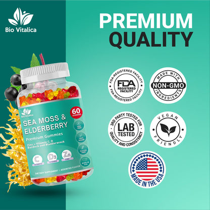 BIO VITALICA Irish Sea Moss Gummies with Elderberry – USA Made Vegan Gummies with Vitamin C, D & Zinc – Immune Support Supplement with Bladderwrack & Burdock Root for Adults & Kids – 3 Packs - dailyvitalstore