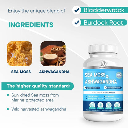 BIO VITALICA Sea Moss Ashwagandha Gummies - Organic Irish Seamoss & Ashwagandha Root Supplements for Supporting Energy for Men & Women, 60 Vegan Gummies - dailyvitalstore