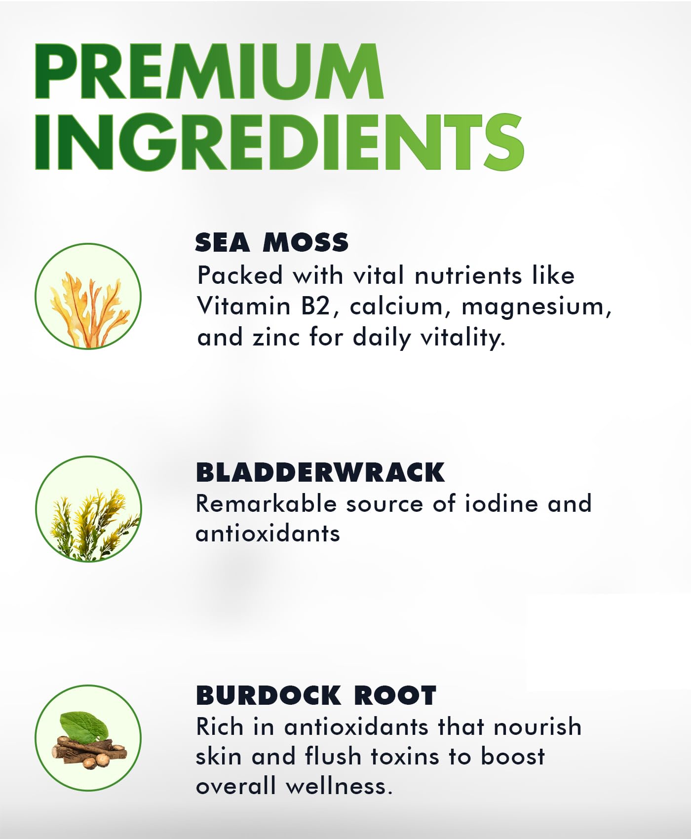 BIO VITALICA Sea Moss Gummies – with Bladderwrack & Burdock Root – Wildcrafted Gel + Powder – Vegan, Keto, Non-GMO, Gluten-Free – Fruity Mineral-Rich Gummies – 50 Count (3 Pack) - dailyvitalstore