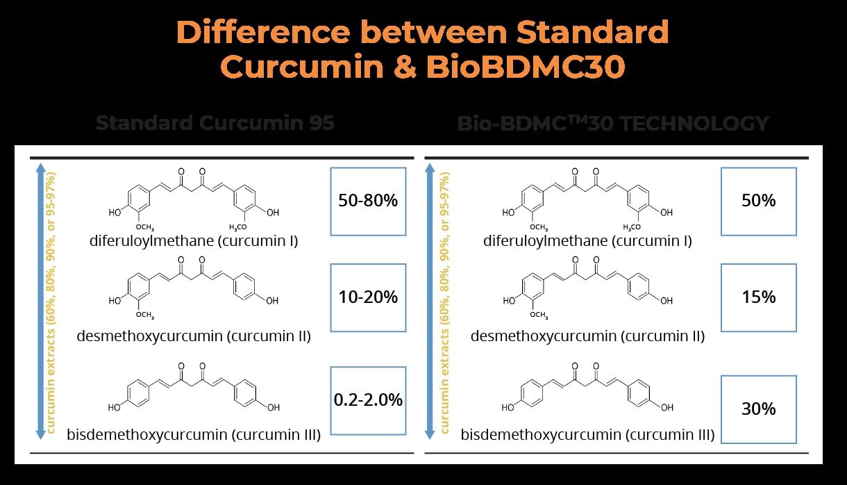BIOBDMC NovoCurcumin-Next Generation Highly Enhanced Curcumin- 120 Capsules - dailyvitalstore