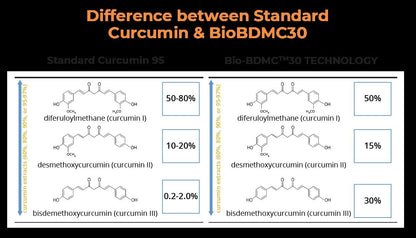 BIOBDMC NovoCurcumin-Next Generation Highly Enhanced Curcumin- 120 Capsules - dailyvitalstore