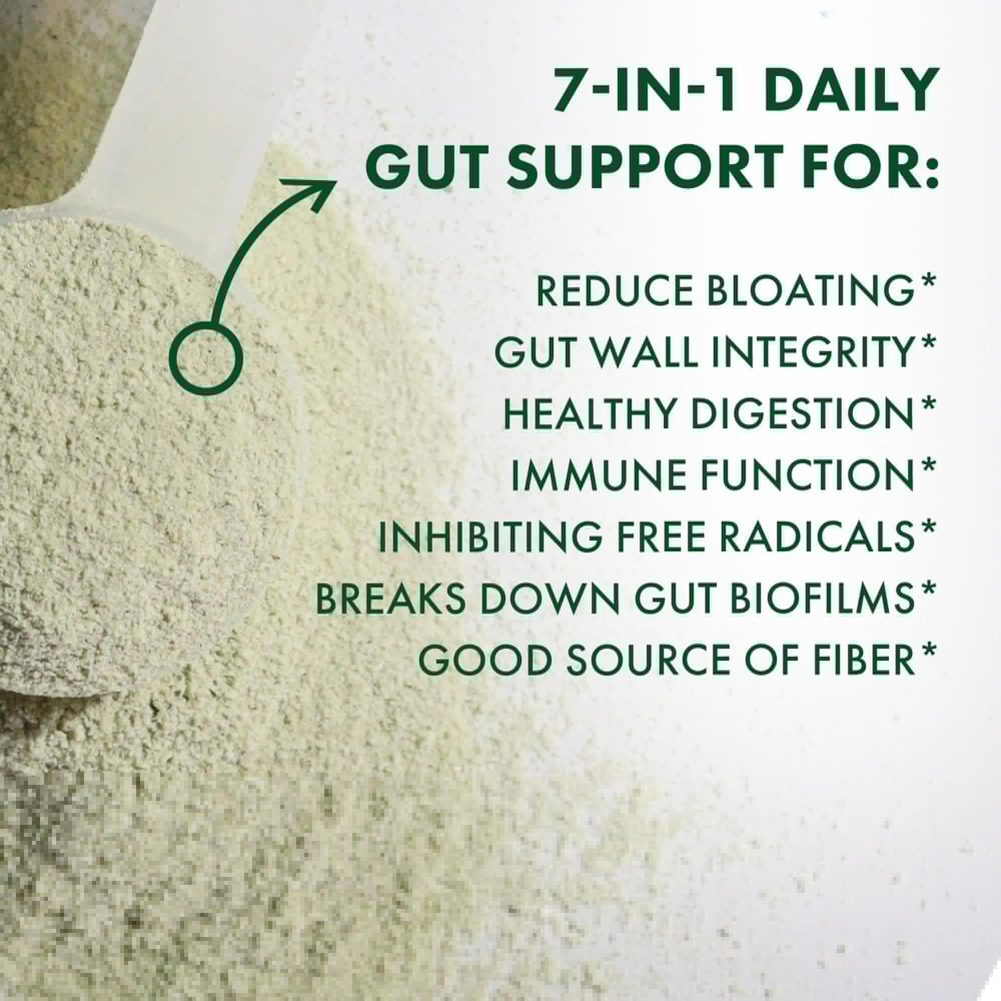 BIOHM Digestive Greens, Green Superfood Powder (7.4 Oz, 30 Servings) Immune & Gut Health Support with Antioxidants, Vitamins, Probiotics & Enzymes, Good Source of Fiber, Berry Flavor - dailyvitalstore