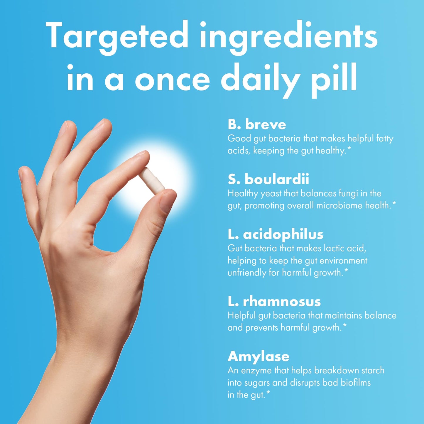 BIOHM Total Probiotic, 30 Billion CFU Daily Probiotics for Women & Men (30 Count) Helps Reduce Occasional Gas & Bloating, - dailyvitalstore