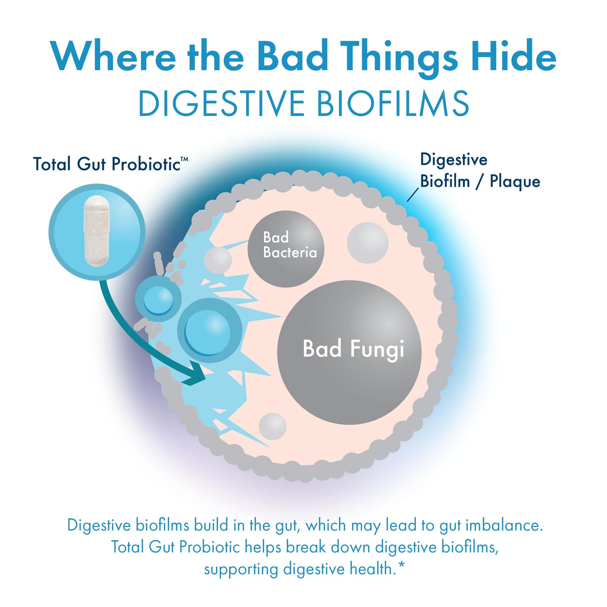BIOHM Total Probiotic, 30 Billion CFU Daily Probiotics for Women & Men (30 Count) Helps Reduce Occasional Gas & Bloating, - dailyvitalstore