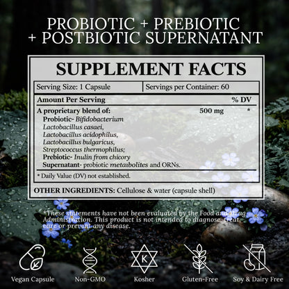 BioImmersion Supernatant Synbiotic - Prebiotic Probiotic Postbiotic - Eases Digestive Discomfort, Gut Imbalance & Yeast Overgrowth - Immune & Microbiome Support - dailyvitalstore