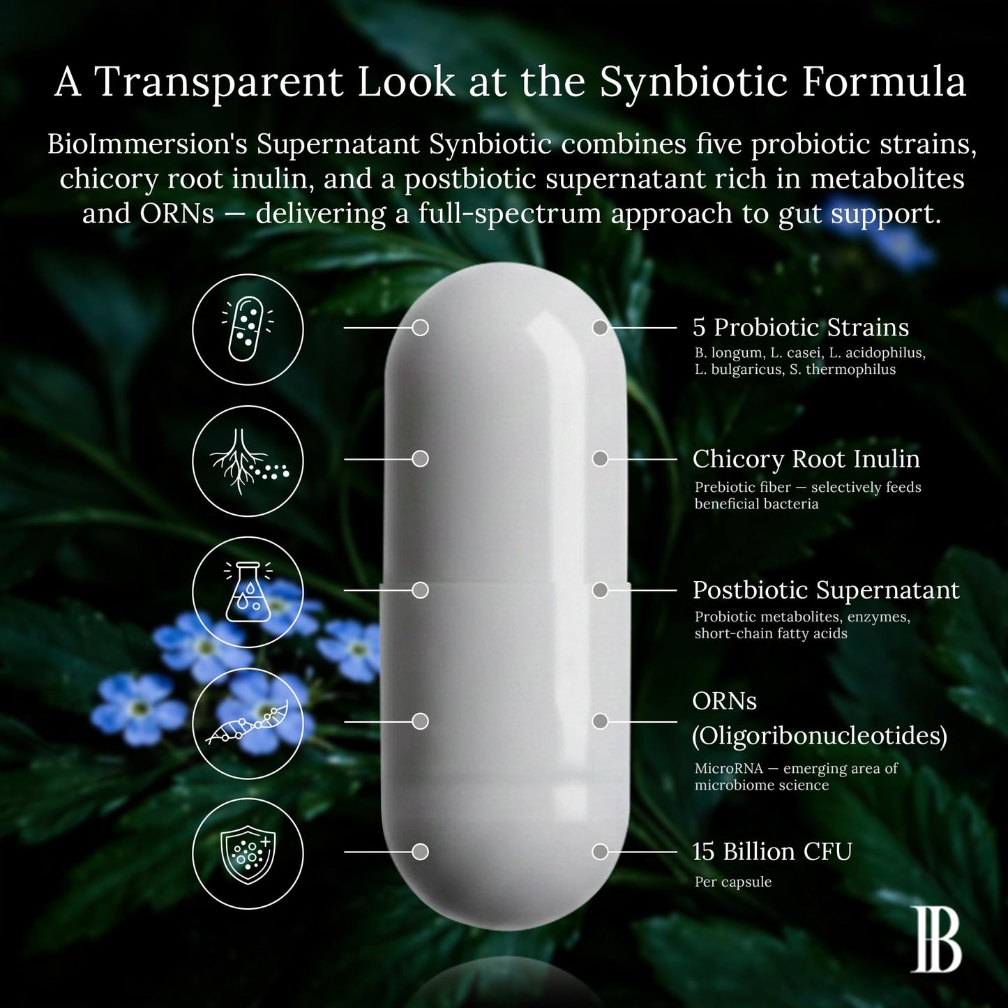 BioImmersion Supernatant Synbiotic - Prebiotic Probiotic Postbiotic - Eases Digestive Discomfort, Gut Imbalance & Yeast Overgrowth - Immune & Microbiome Support - dailyvitalstore