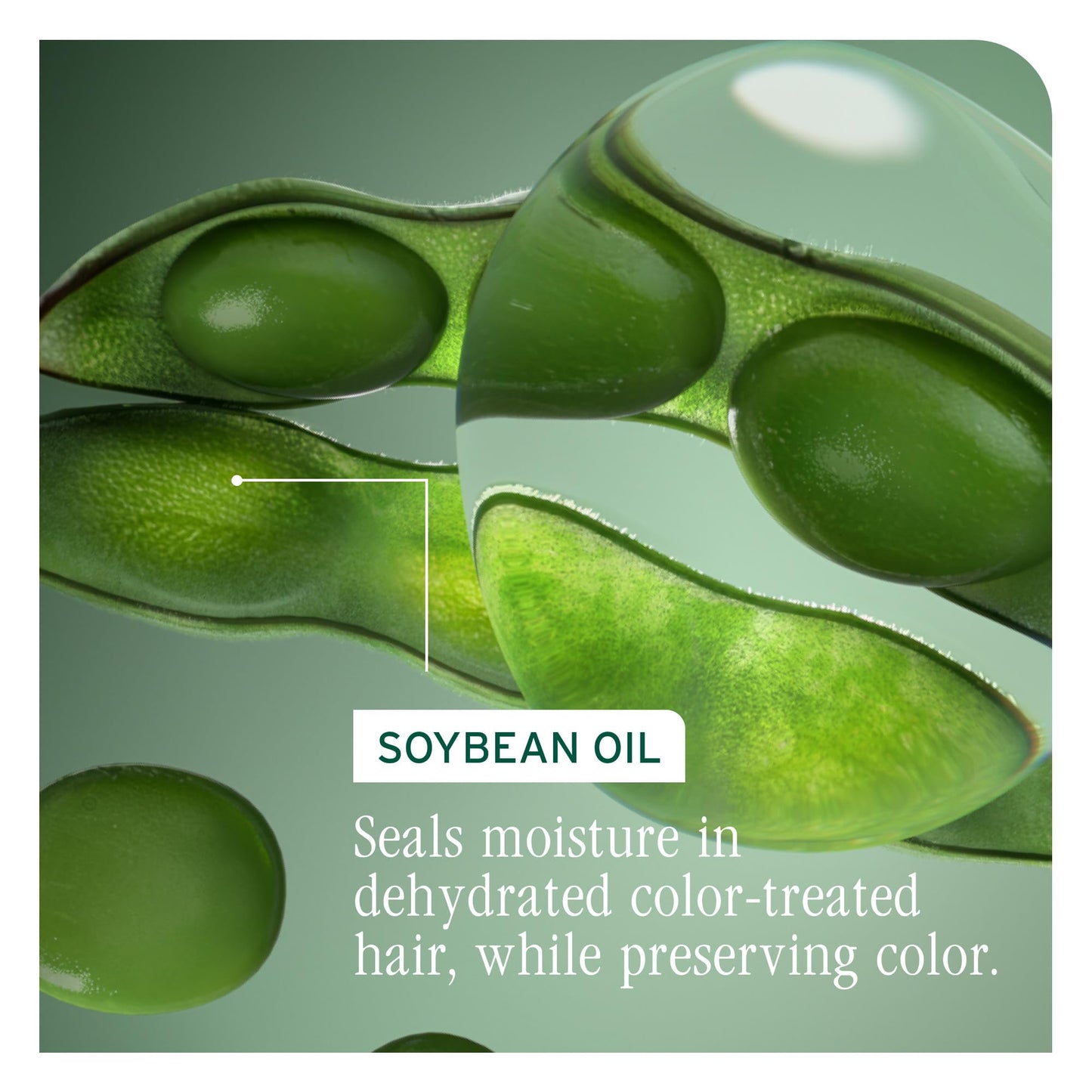 Biolage Color Last Shampoo - For Color-Treated Hair, Nourishes, Strengthens, Hydrates and Adds Shine, Soybean Oil & Stearic Acid - dailyvitalstore