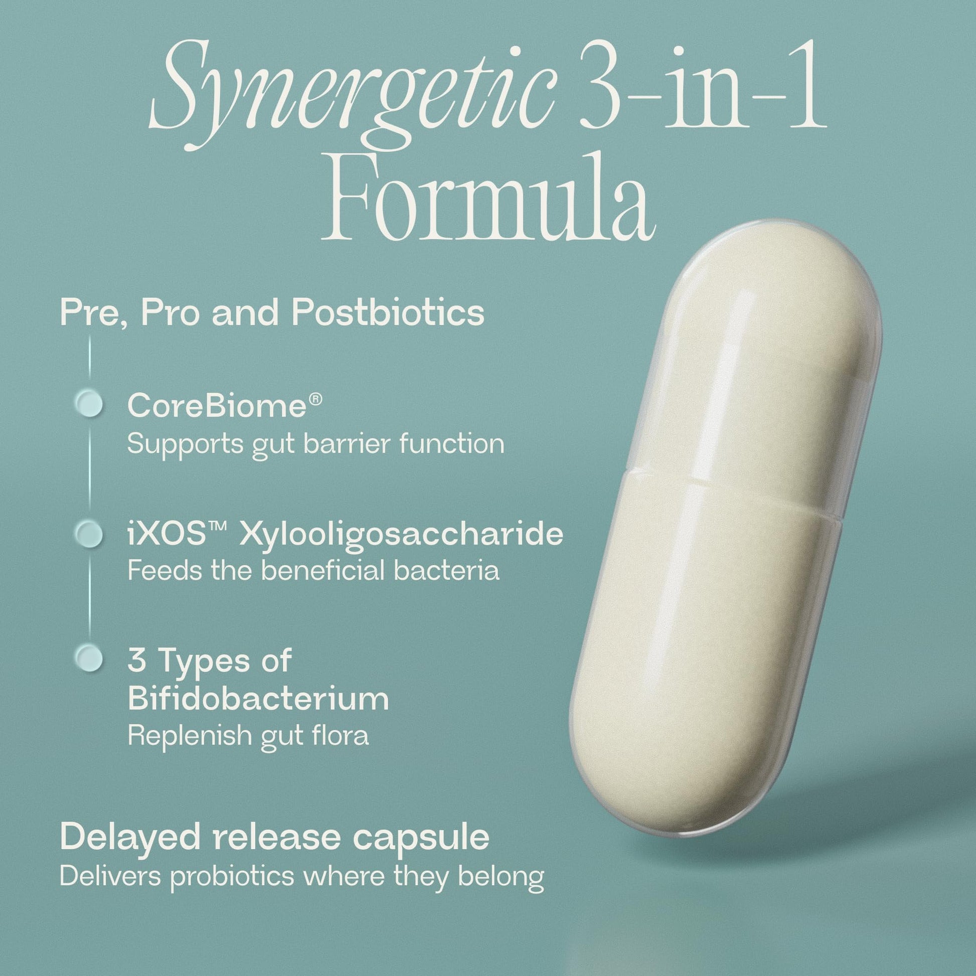BIOMA Probiotics - Digestive Health Probiotic - Gut Support for Men & Women with Xylooligosaccharides, Tributyrin & Bifidobacterium - Vegan & Gluten Free - dailyvitalstore