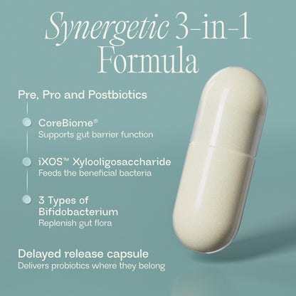 BIOMA Probiotics - Digestive Health Probiotic - Gut Support for Men & Women with Xylooligosaccharides, Tributyrin & Bifidobacterium - Vegan & Gluten Free - dailyvitalstore