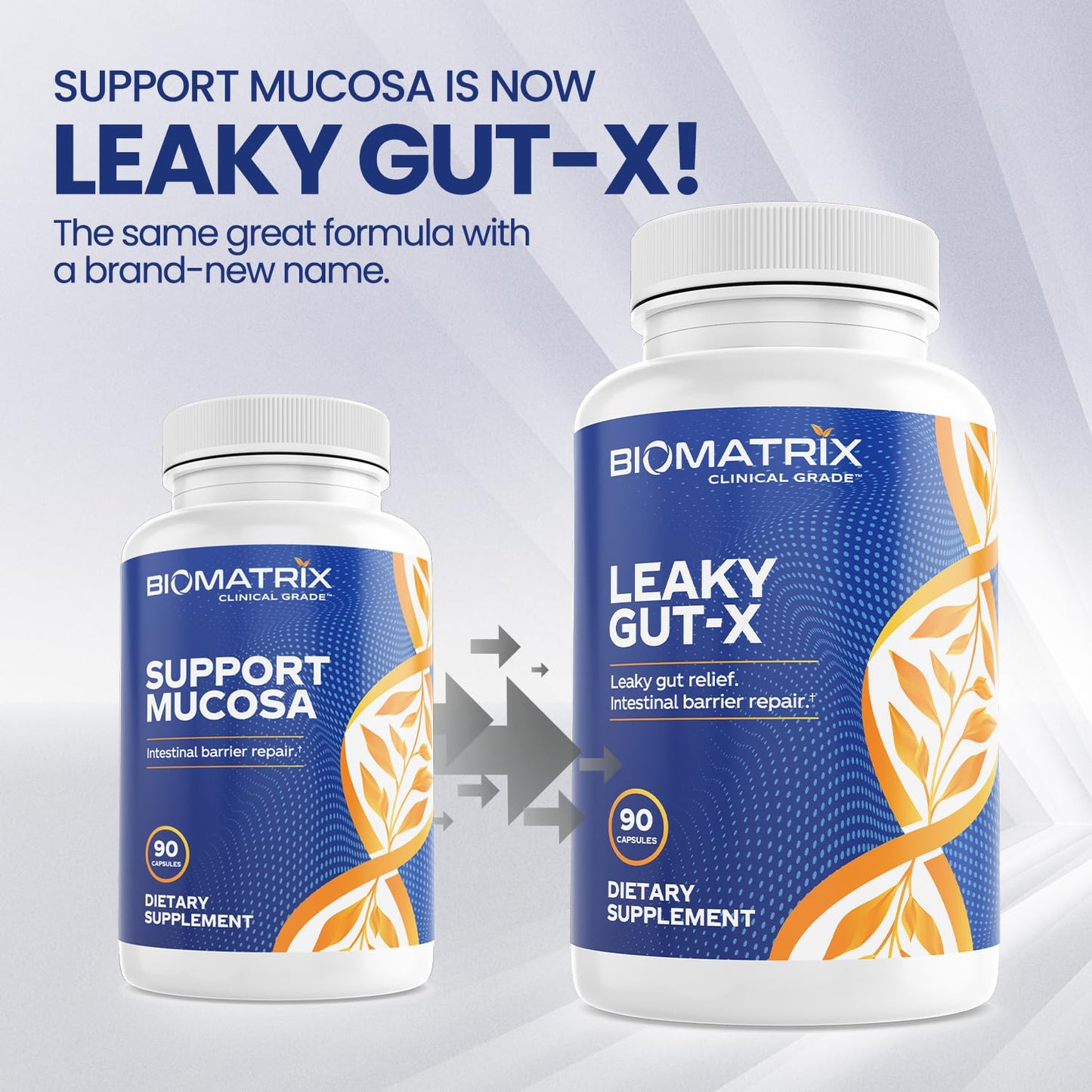 BioMatrix Leaky Gut Repair Supplement w/Glutamine, Quercetin, Cat's Claw, MSM, SIBO, Prebiotic Support, Intestinal Barrier Revive for Men and Women | 60-Day Supply – Leaky Gut-X - dailyvitalstore