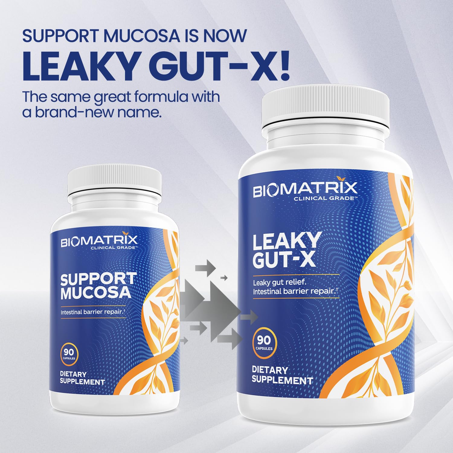BioMatrix Leaky Gut Repair Supplement w/Glutamine, Quercetin, Cat's Claw, MSM, SIBO, Prebiotic Support, Intestinal Barrier Revive for Men and Women | 60-Day Supply – Leaky Gut-X - dailyvitalstore