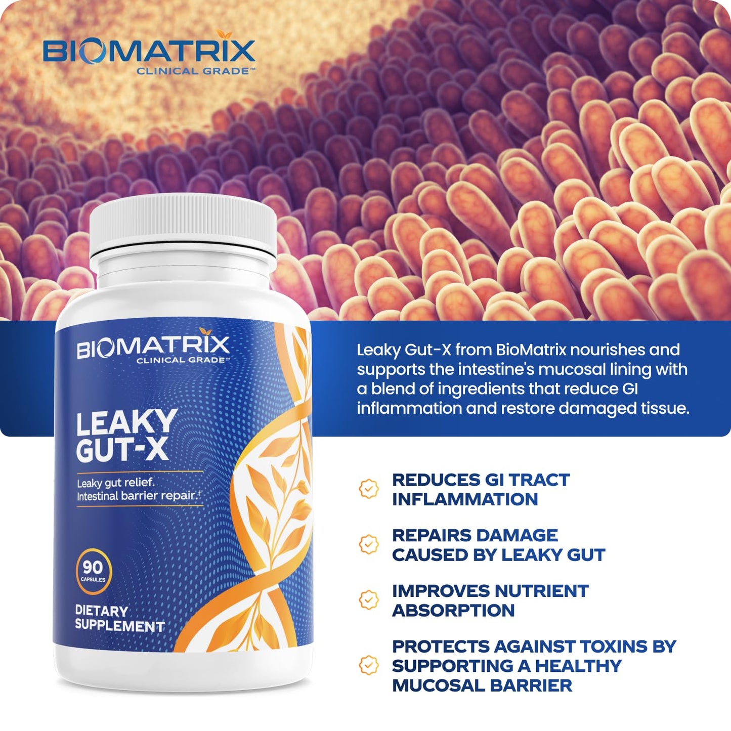 BioMatrix Leaky Gut Repair Supplement w/Glutamine, Quercetin, Cat's Claw, MSM, SIBO, Prebiotic Support, Intestinal Barrier Revive for Men and Women | 60-Day Supply – Leaky Gut-X - dailyvitalstore