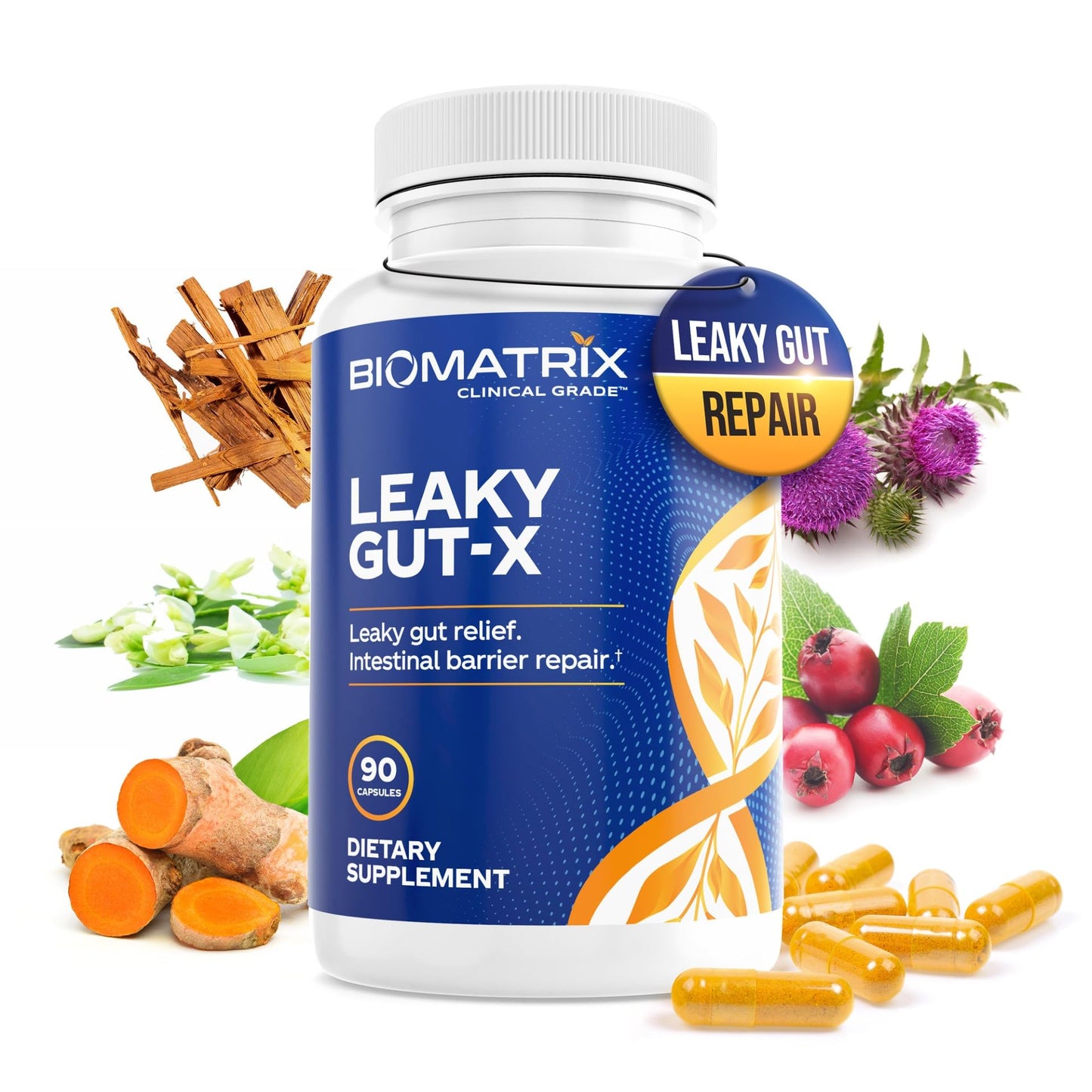 BioMatrix Leaky Gut Repair Supplement w/Glutamine, Quercetin, Cat's Claw, MSM, SIBO, Prebiotic Support, Intestinal Barrier Revive for Men and Women | 60-Day Supply – Leaky Gut-X - dailyvitalstore