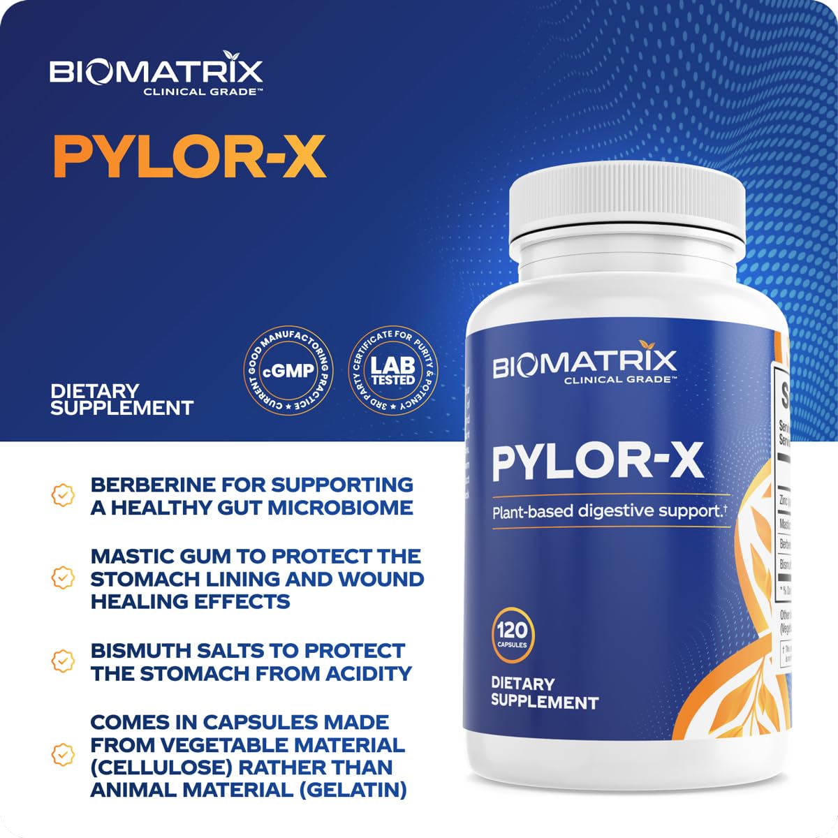 BioMatrix Pylor-X Gut Health Supplement – Mastic Gum, Berberine, Zinc Carnosine & Bismuth Salts for Gastric Support, Digestive Comfort, Stomach Lining Protection - (120 Capsules) 30-60 Day Supply - dailyvitalstore