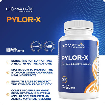 BioMatrix Pylor-X Gut Health Supplement – Mastic Gum, Berberine, Zinc Carnosine & Bismuth Salts for Gastric Support, Digestive Comfort, Stomach Lining Protection - (120 Capsules) 30-60 Day Supply - dailyvitalstore