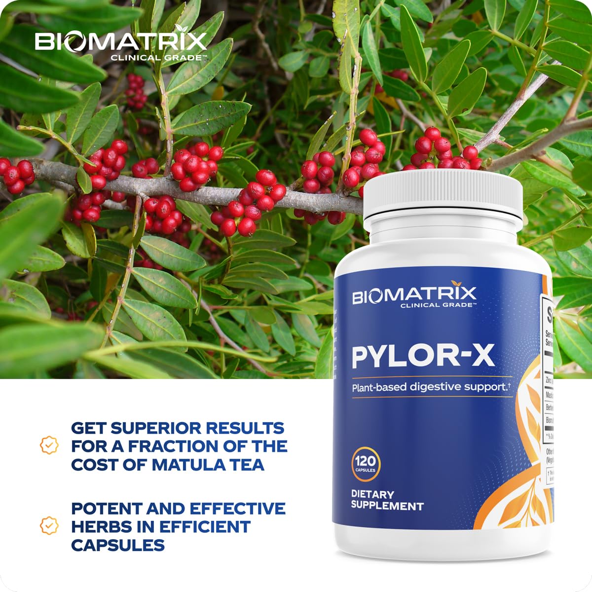 BioMatrix Pylor-X Gut Health Supplement – Mastic Gum, Berberine, Zinc Carnosine & Bismuth Salts for Gastric Support, Digestive Comfort, Stomach Lining Protection - (120 Capsules) 30-60 Day Supply - dailyvitalstore