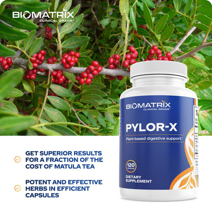 BioMatrix Pylor-X Gut Health Supplement – Mastic Gum, Berberine, Zinc Carnosine & Bismuth Salts for Gastric Support, Digestive Comfort, Stomach Lining Protection - (120 Capsules) 30-60 Day Supply - dailyvitalstore