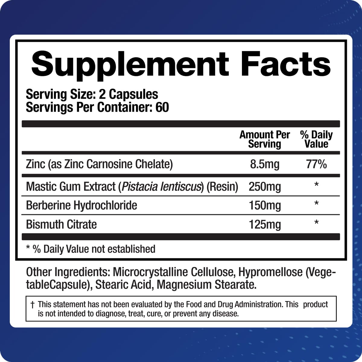 BioMatrix Pylor-X Gut Health Supplement – Mastic Gum, Berberine, Zinc Carnosine & Bismuth Salts for Gastric Support, Digestive Comfort, Stomach Lining Protection - (120 Capsules) 30-60 Day Supply - dailyvitalstore