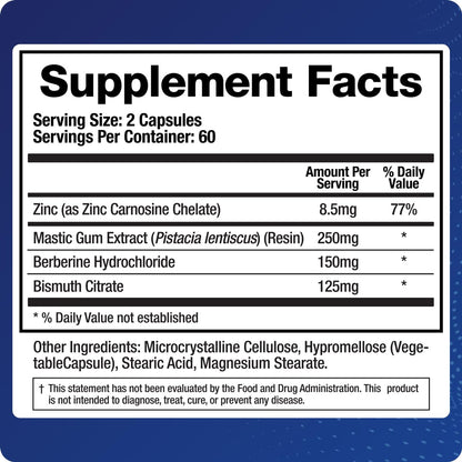 BioMatrix Pylor-X Gut Health Supplement – Mastic Gum, Berberine, Zinc Carnosine & Bismuth Salts for Gastric Support, Digestive Comfort, Stomach Lining Protection - (120 Capsules) 30-60 Day Supply - dailyvitalstore