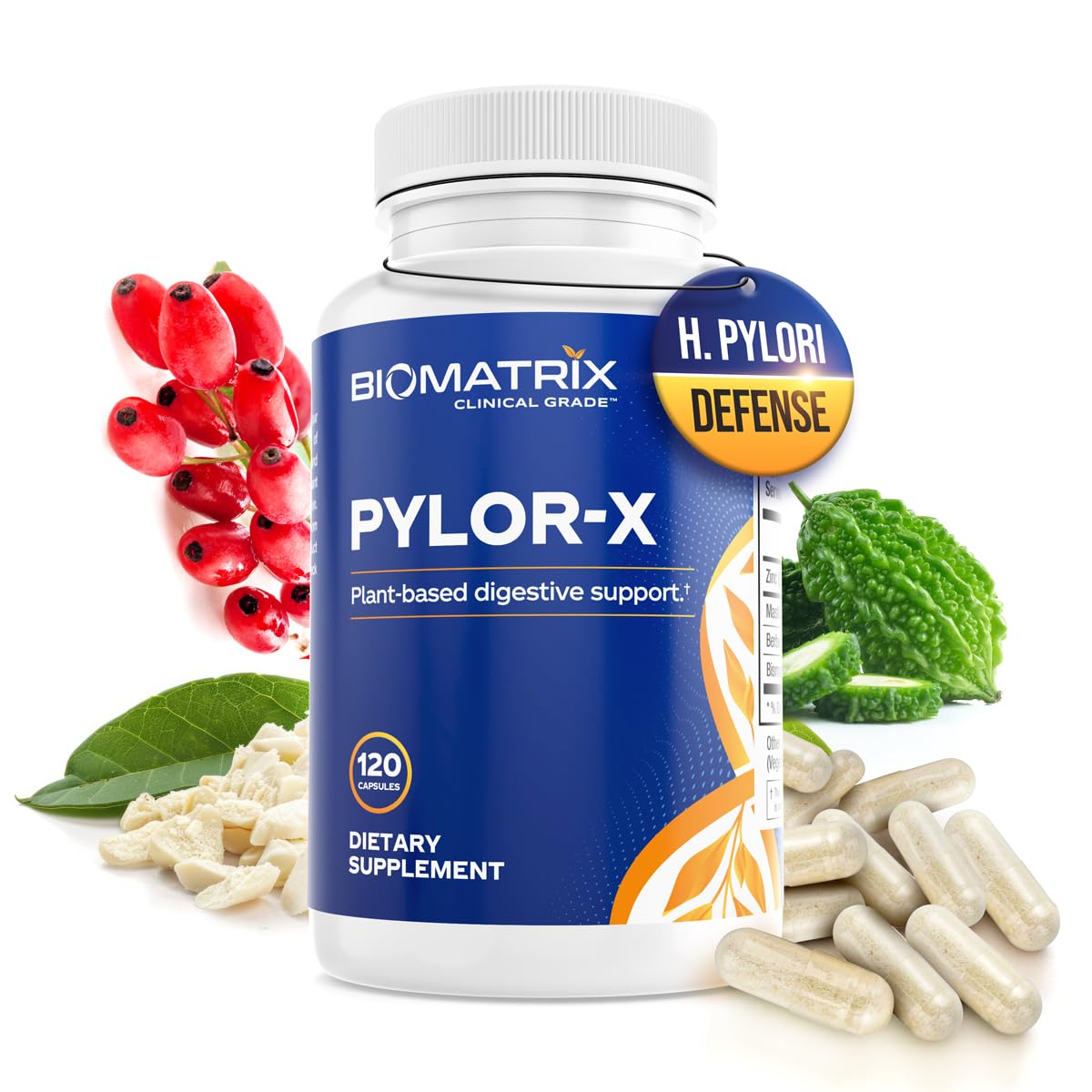 BioMatrix Pylor-X Gut Health Supplement – Mastic Gum, Berberine, Zinc Carnosine & Bismuth Salts for Gastric Support, Digestive Comfort, Stomach Lining Protection - (120 Capsules) 30-60 Day Supply - dailyvitalstore