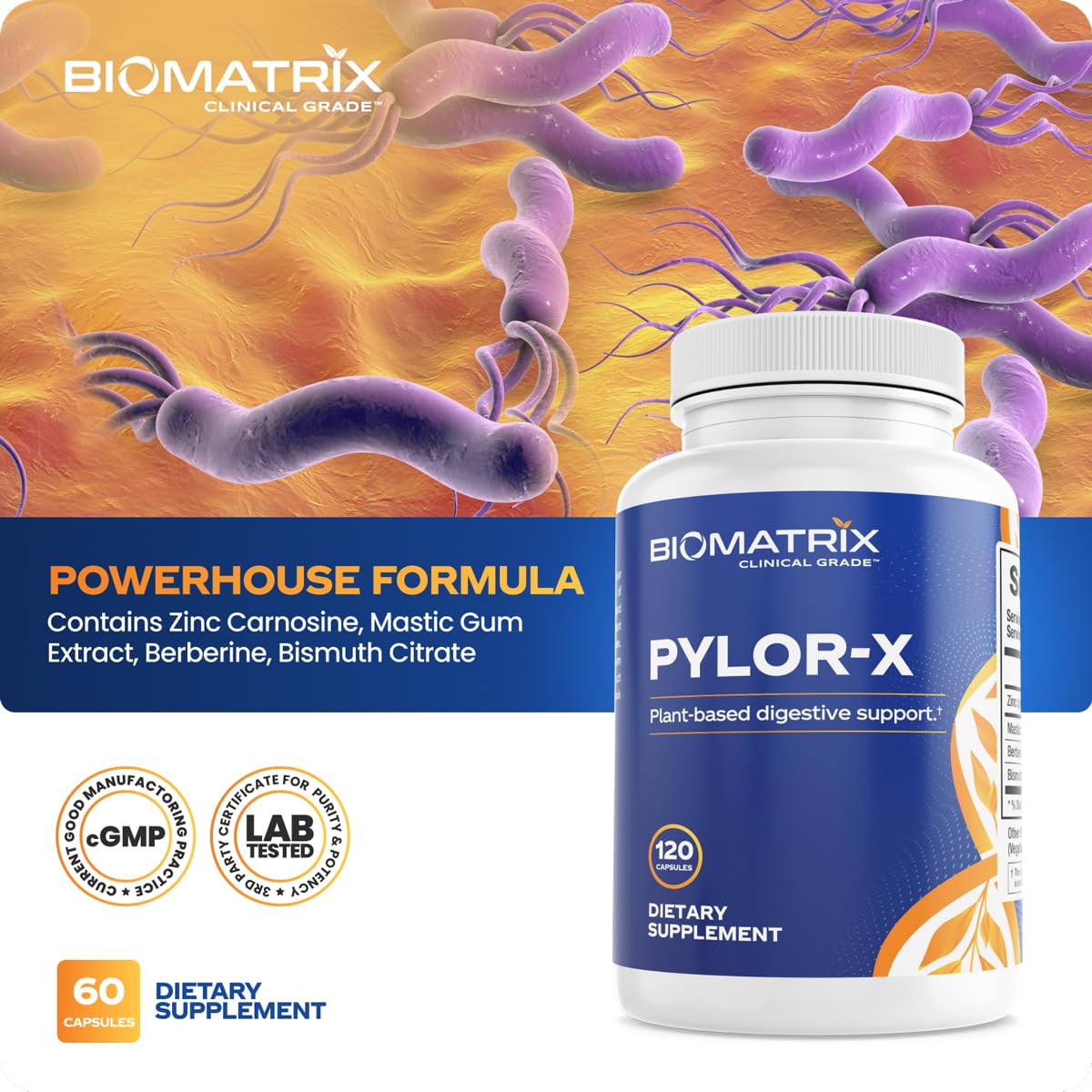 BioMatrix Pylor-X Gut Health Supplement – Mastic Gum, Berberine, Zinc Carnosine & Bismuth Salts for Gastric Support, Digestive Comfort, Stomach Lining Protection - (120 Capsules) 30-60 Day Supply - dailyvitalstore