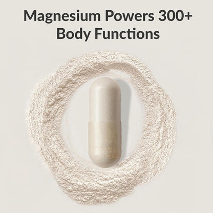 BIOptimizers Magnesium Breakthrough Supplement with 500mg - 7 Forms of Magnesium: Glycinate, Malate, Citrate, and More - Natural Support for Sleep and Cognitive Function -60 Capsules- Calming Vitamins - dailyvitalstore