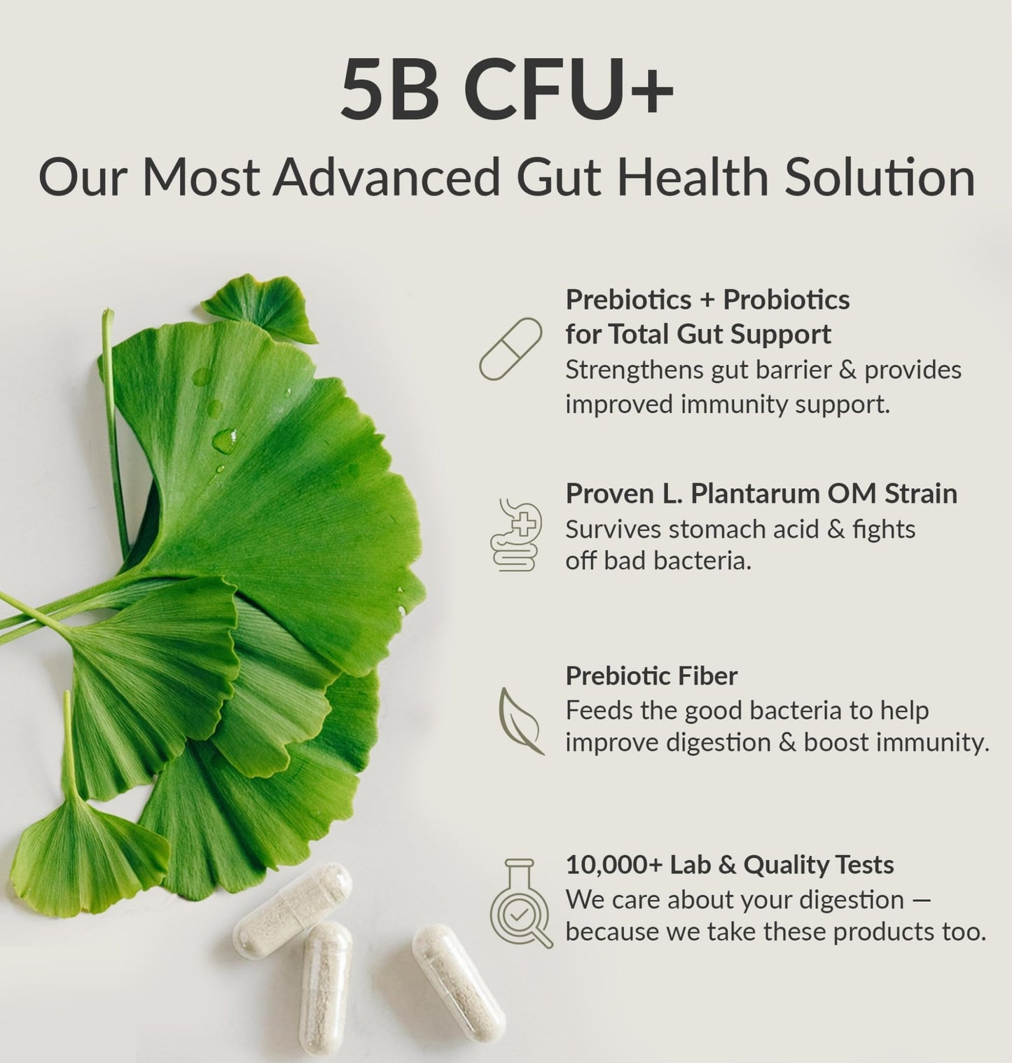 BIOptimizers Probiotic Breakthrough – Lactobacillus Plantarum OM Probiotics & Prebiotics Health Supplement for Gut, Digestive & Immune Support Probiotics - dailyvitalstore