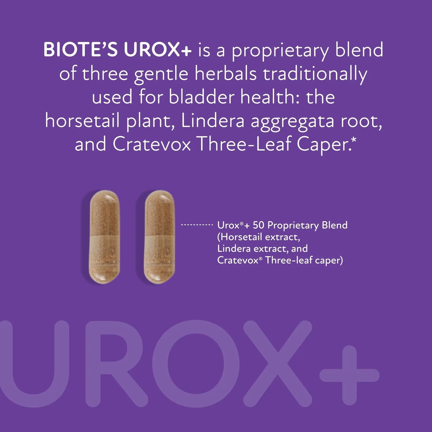 Biote Nutraceuticals - Urox+ - Bladder Health (60 Capsules) - dailyvitalstore