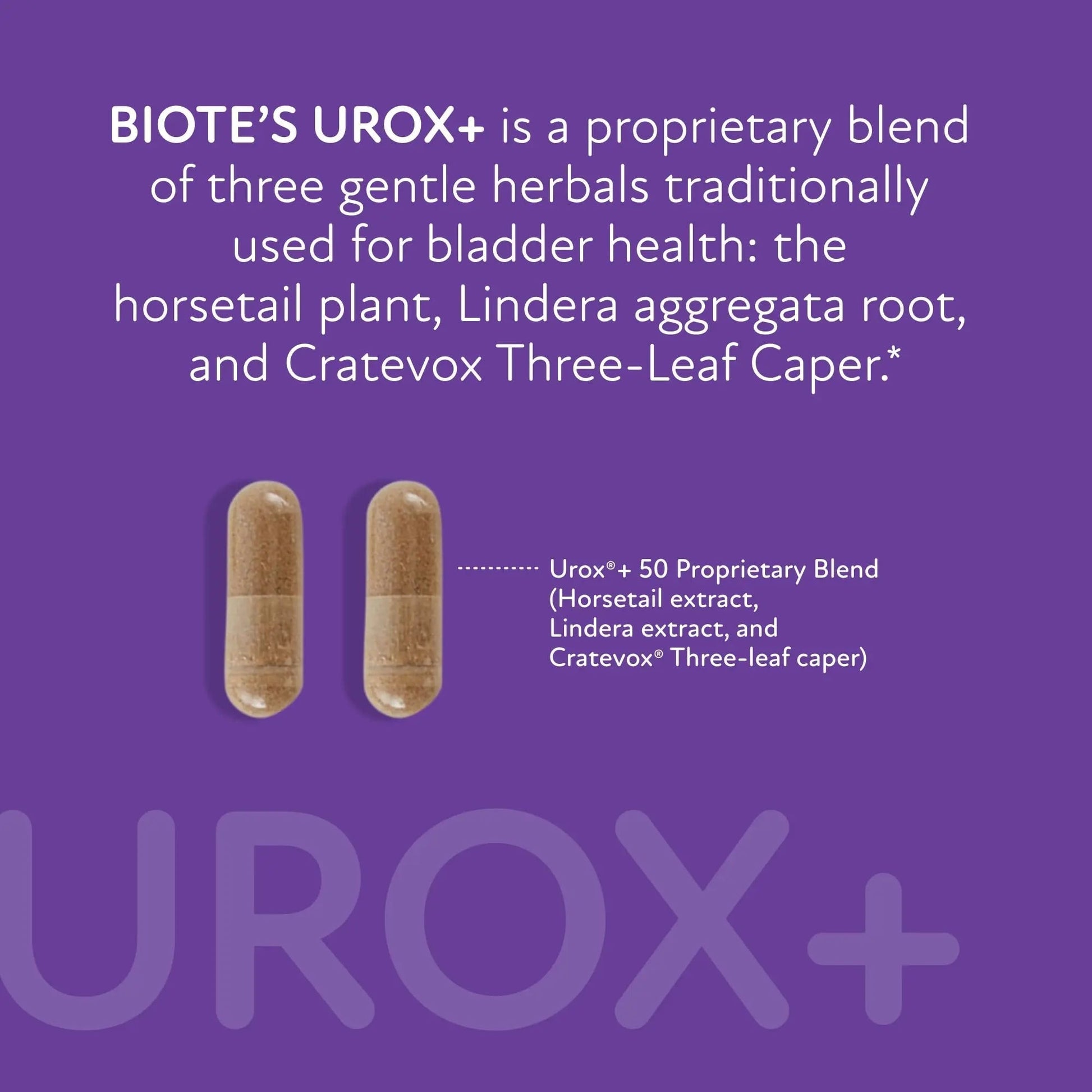 Biote Nutraceuticals - Urox+ - Bladder Health (60 Capsules) - dailyvitalstore