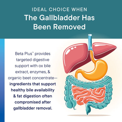 Biotics Research Beta-Plus™ Nutritional Ox Bile Salts Digestive Enzymes Supplement for Bile Production for No Gallbladder-Supports Overall Liver Function, - dailyvitalstore
