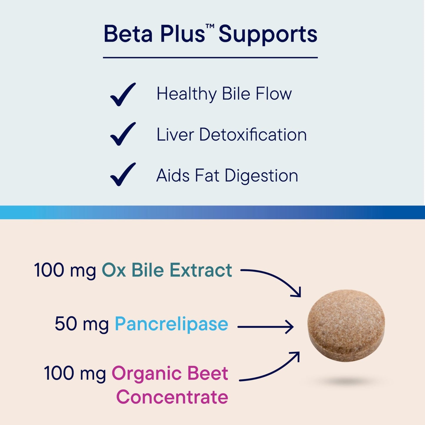 Biotics Research Beta-Plus™ Nutritional Ox Bile Salts Digestive Enzymes Supplement for Bile Production for No Gallbladder-Supports Overall Liver Function, - dailyvitalstore