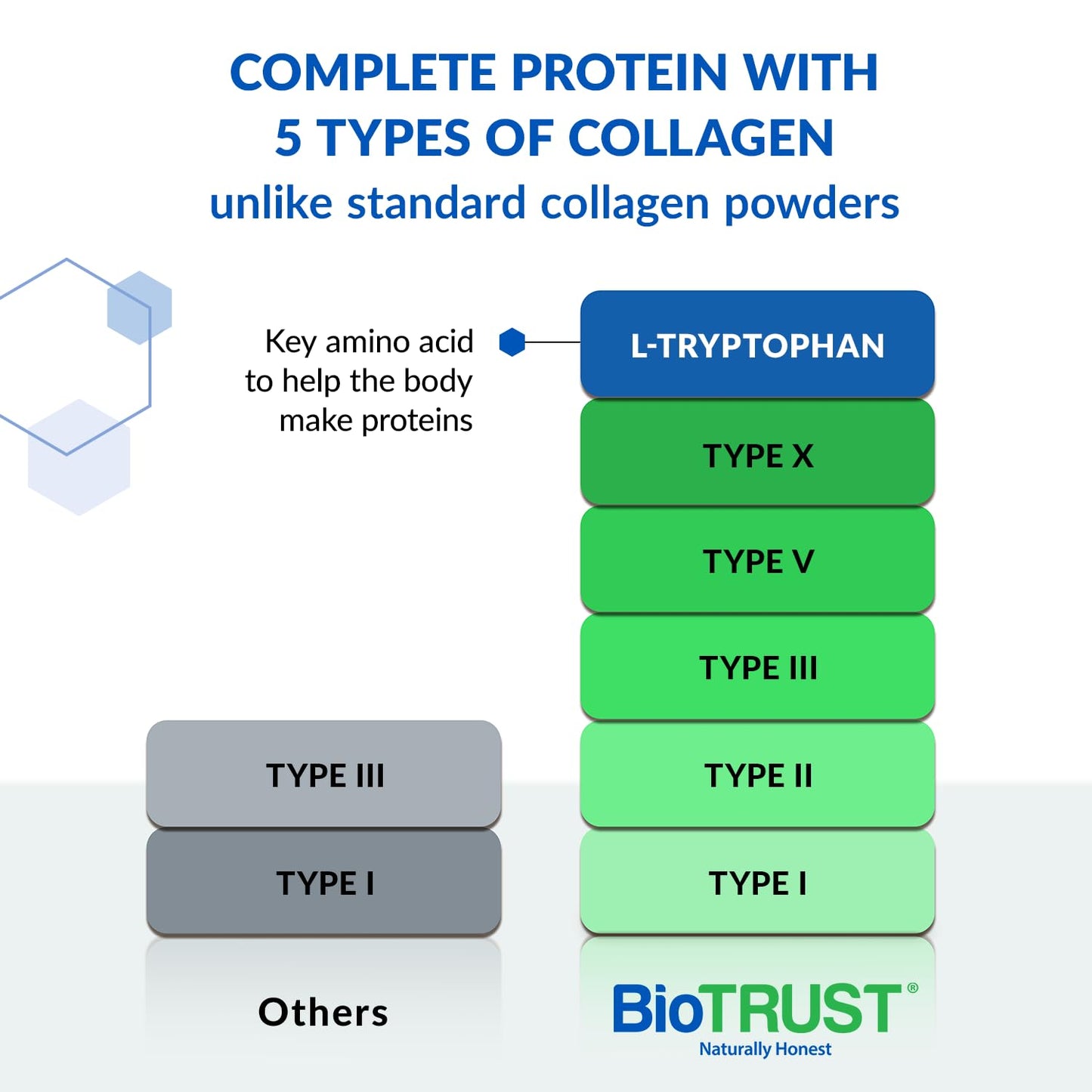 BioTrust Ageless Multi Collagen Peptides Powder - 5 Types (I, II, III, V, X) - Unflavored Collagen Powder for Women & Men - Hydrolyzed Protein - dailyvitalstore