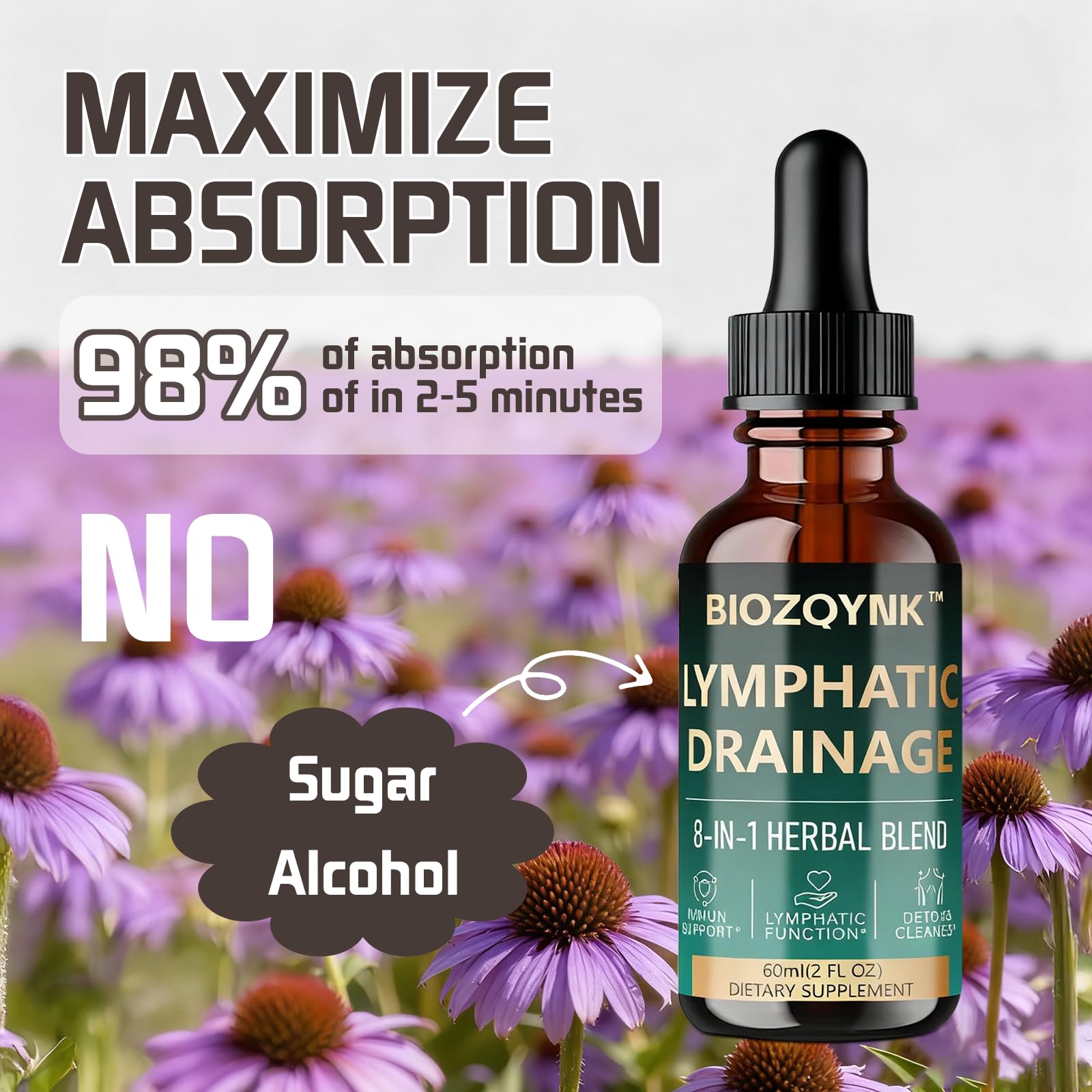 BIOZQYNK Lymphatic Drainage Liquid Drops – Herbal Extracts & Botanicals for Circulation, Immune & Detox Support – Alcohol-Free, Vegan (2 fl oz) - dailyvitalstore