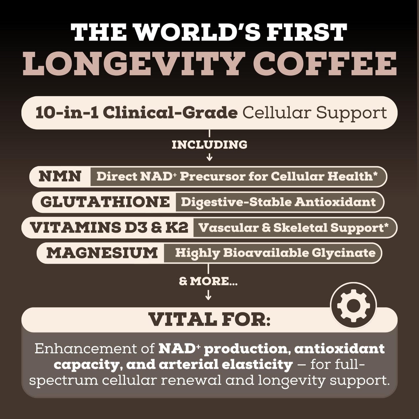 Black Forest Longevity Mix Liquid NAD+ Alternative Mocha Coffee 10-in-1 with NMN 250mg, Glutathione 250mg, TMG, Magnesium Glycinate, Vitamins D3 K2 C B12, High Polyphenol Cocoa, 30 Servings - dailyvitalstore