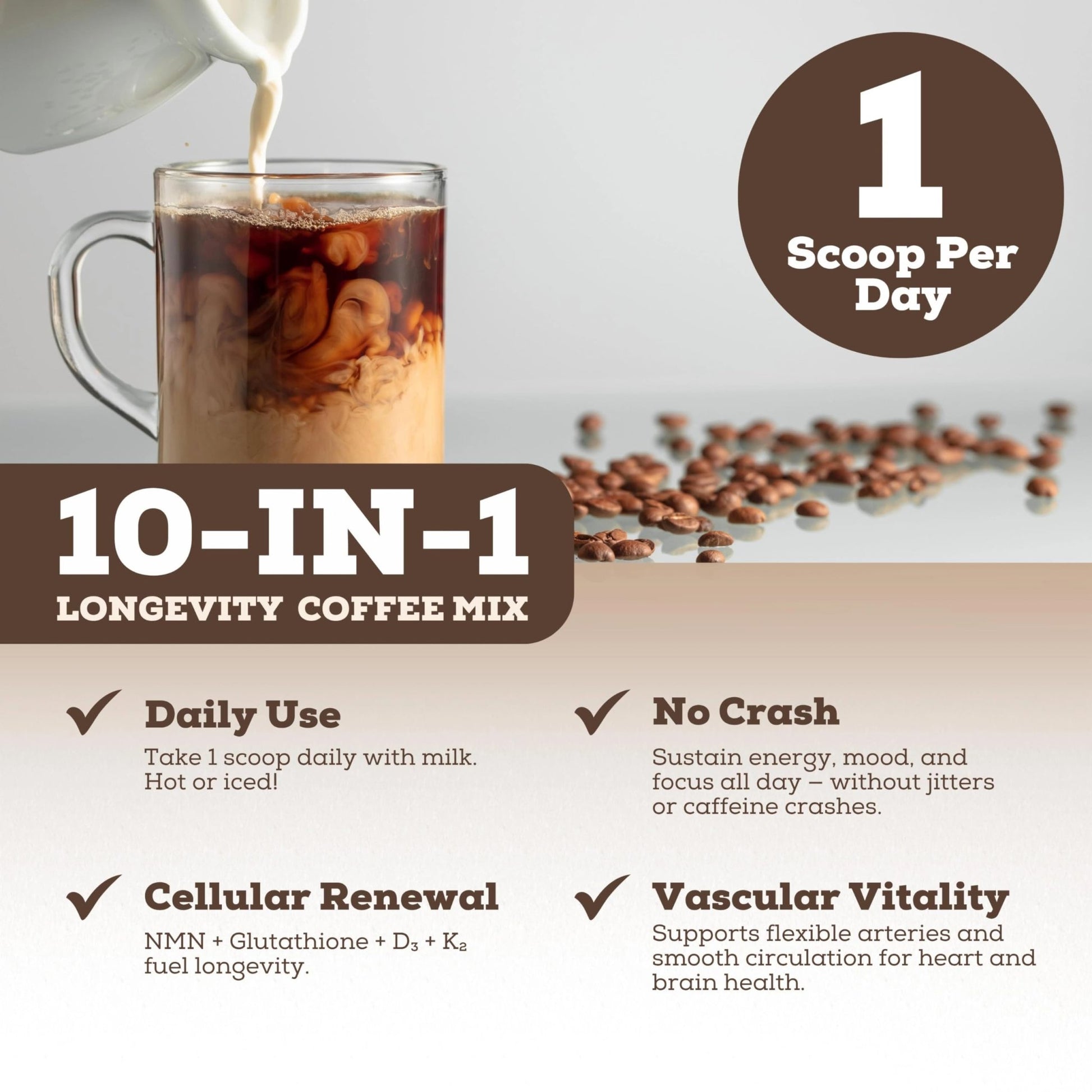Black Forest Longevity Mix Liquid NAD+ Alternative Mocha Coffee 10-in-1 with NMN 250mg, Glutathione 250mg, TMG, Magnesium Glycinate, Vitamins D3 K2 C B12, High Polyphenol Cocoa, 30 Servings - dailyvitalstore